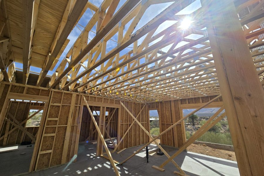 Roof truss framing with natural light